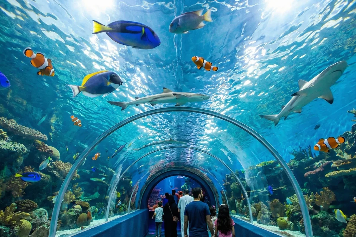 Fakieh Aquarium Jeddah