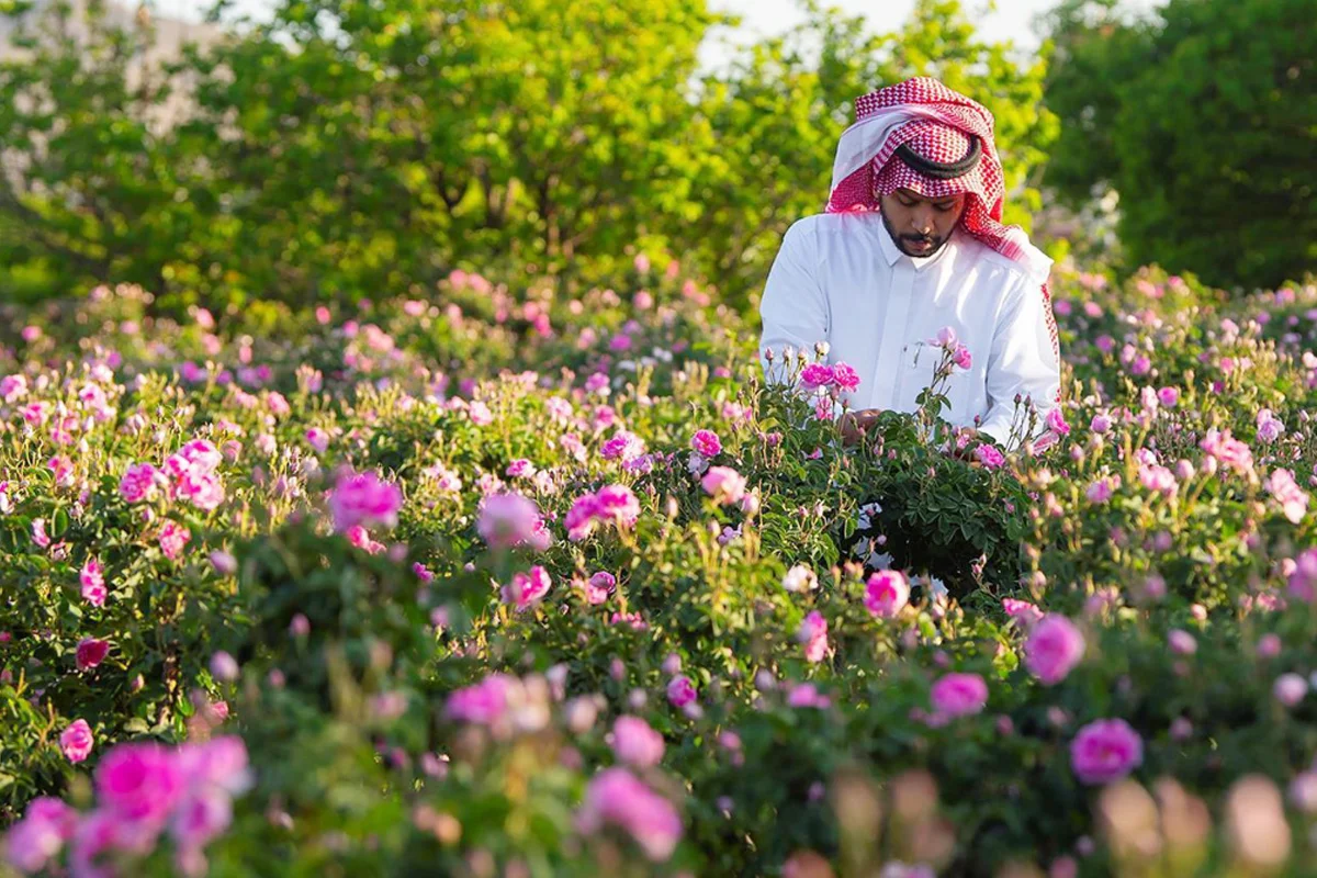 Taif Rose Farm 