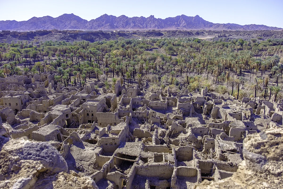 Weathered stone fortress remains standing on a rocky outcrop above the palm oasis at Khaybar, with black lava country beyond in morning light.