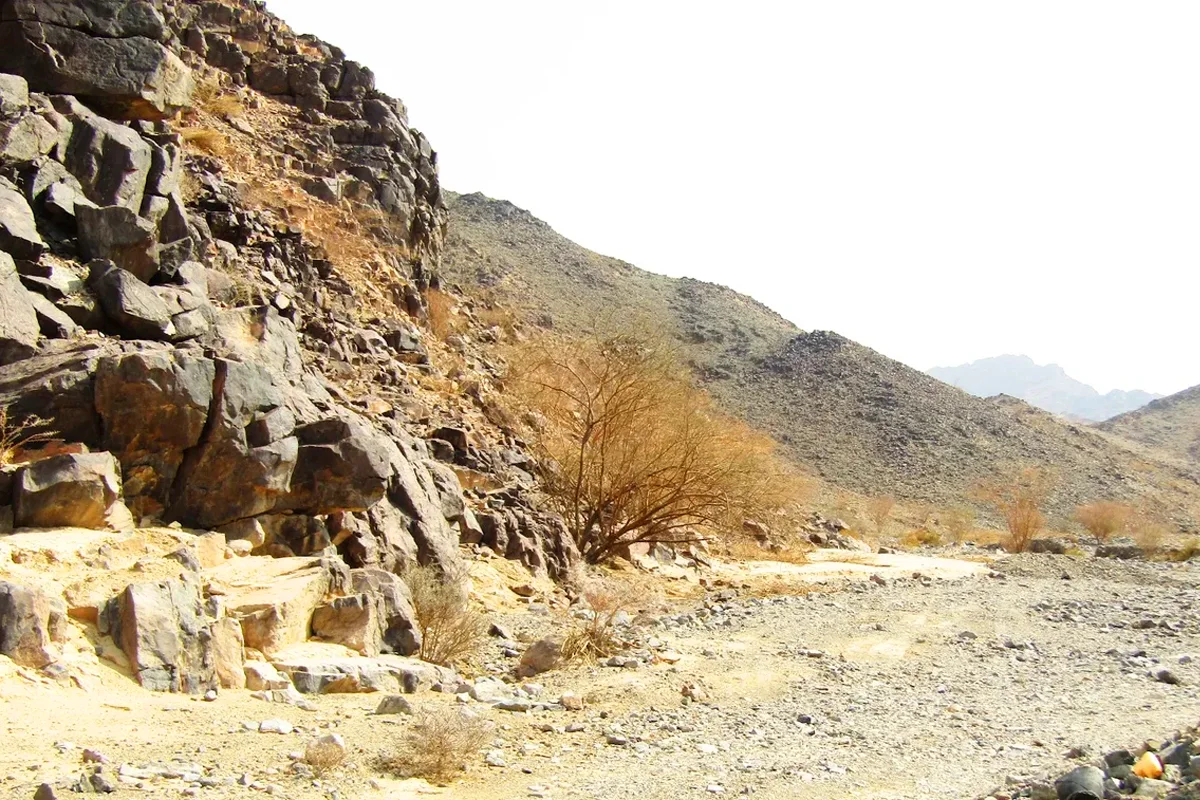A wide valley running between bare brown ridges on the road from Madinah to Badr, with green palm plots along the valley floor in warm afternoon light.