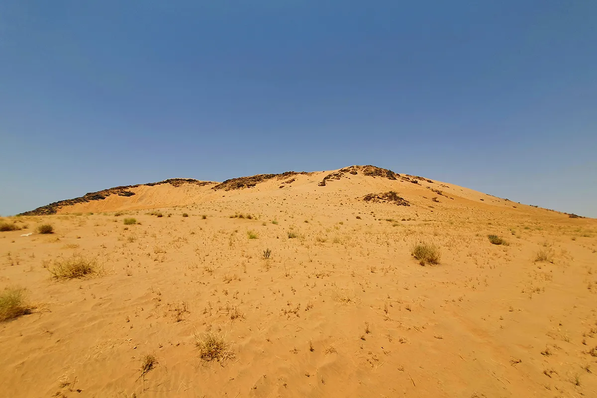 A low pale sand hill rising on the western edge of the Badr plain, bare and unmarked, with the open battlefield in front of it in morning light.
