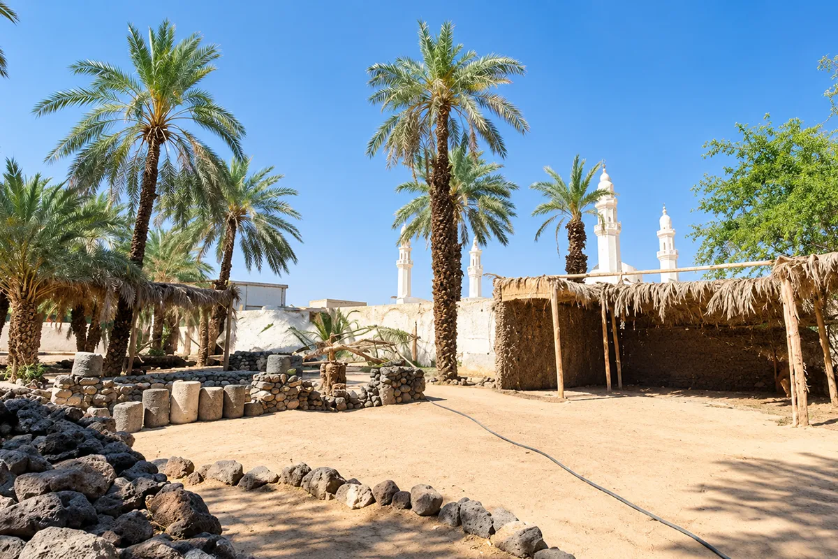 Low old walls and date palms in the Quba area of southern Madinah in soft morning light, ordinary residential ground with no monument.