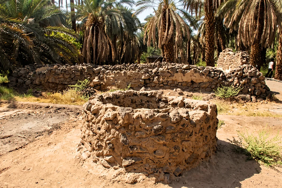 A stone-lined historic well head beside a working date palm farm on the north-western side of Madinah, with irrigation channels and green palms in morning light.