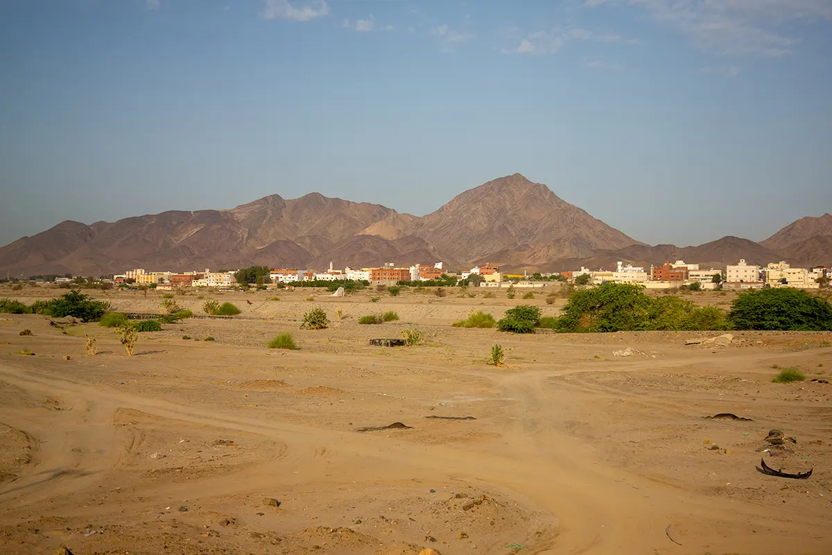 The broad green floor of Wadi Fatimah near al-Jumum, with irrigated farm plots and palm groves running between bare brown hills under late afternoon light.