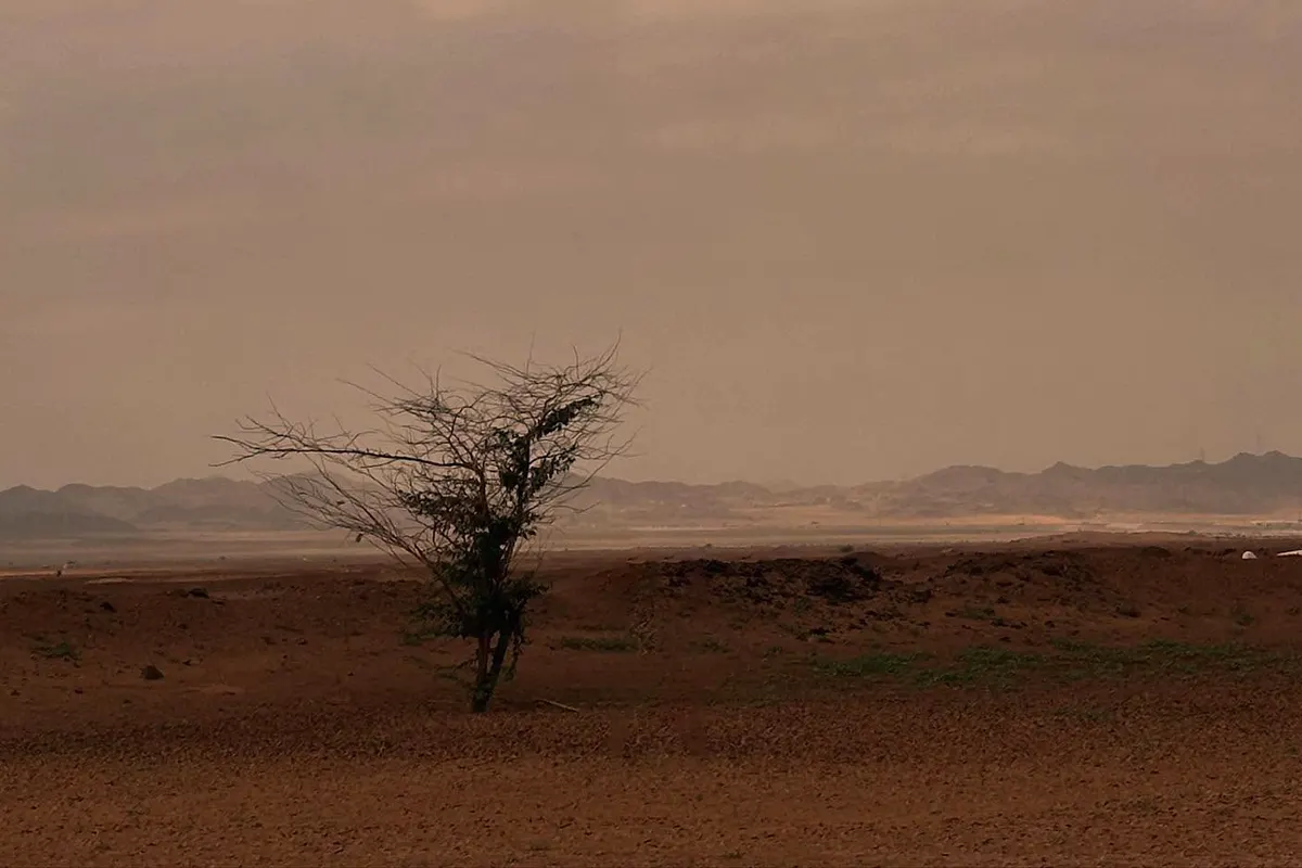 Open desert country on the old road north from Makkah, flat gravel plain with thin thorn scrub and a few goats grazing, low ridges on the horizon in late afternoon light.